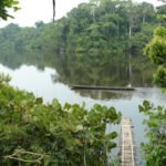Kanu auf dem Fluss - Amazonas, Ecuador