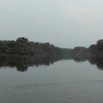 Fluss im Urwald, Ecuador