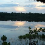 Abendstimmung im Amazonas, Ecuador