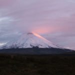 Cotopaxi in der Abendsonne
