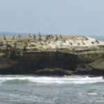 Pelikan Felsen, Strand Ecuador