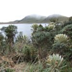 Naturreservat El Angel, Norden Ecuador