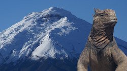Kontrastreiches Ecuador