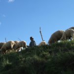 Schafhirte bei Peguche nahe Otavalo