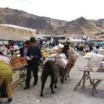 Markt Zumbahua