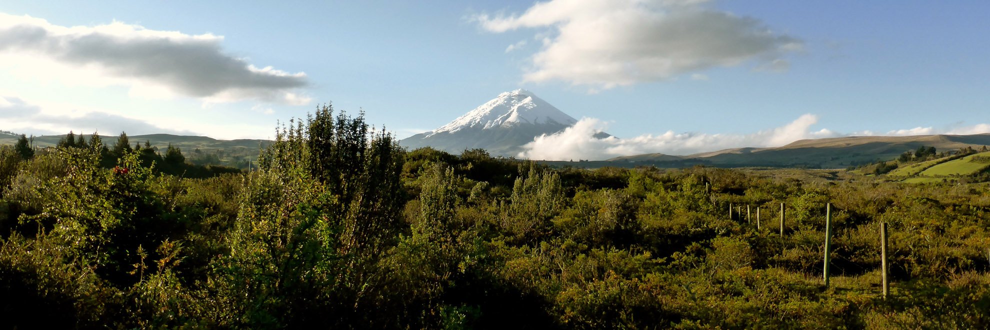 Ecuador Gruppenreise - Cotopaxi