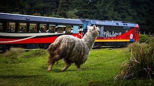 Bahnreisen Ecuador